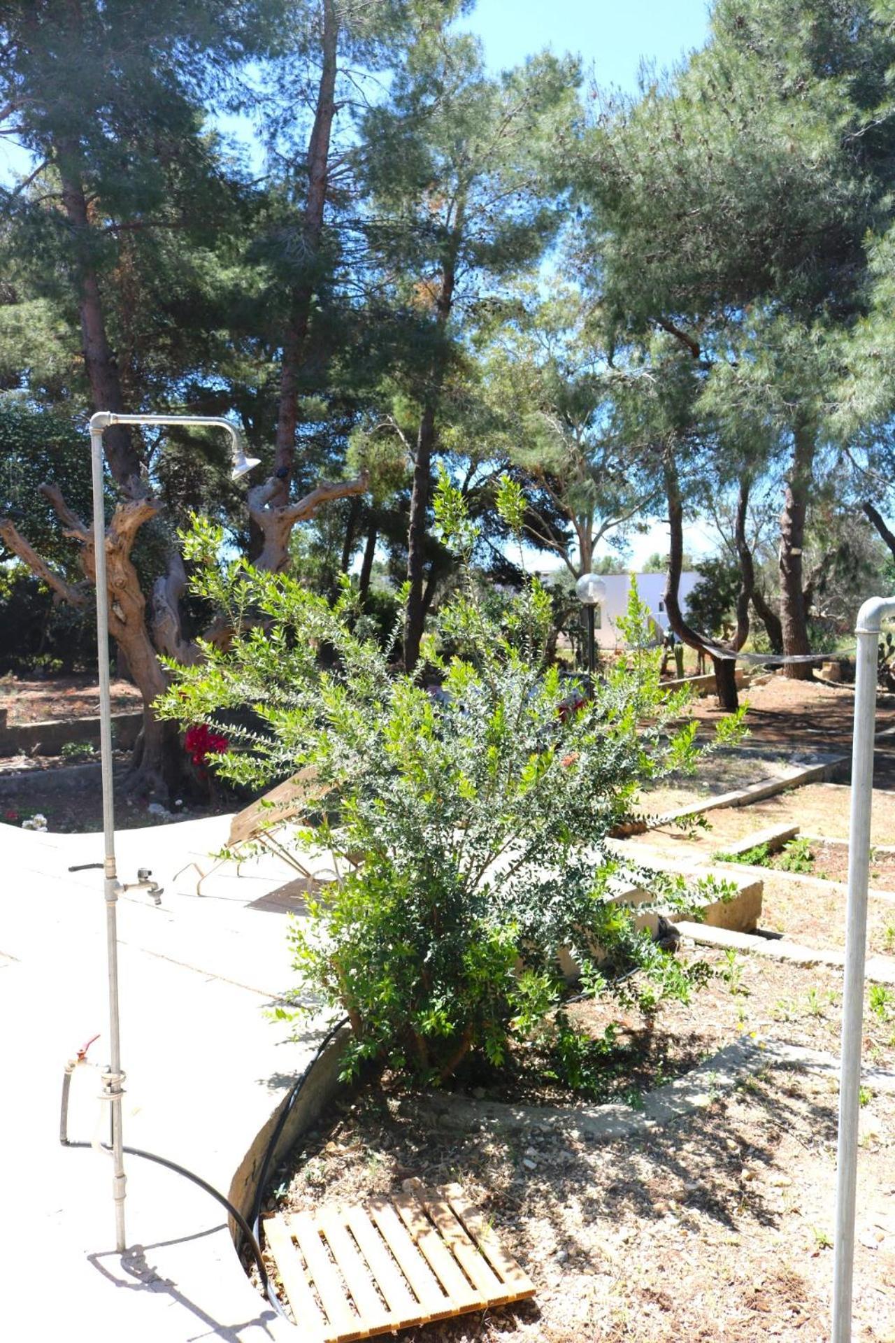 Villa Maria In Puglia Con Pineta Vicino Al Mare Torre Suda Exterior foto